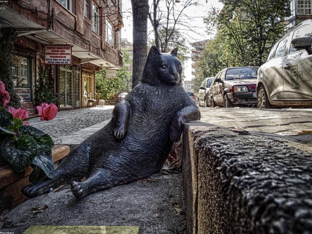 មគ្គុទេសក៍យុទ្ធសាស្រ្តគូសឆ្នោត